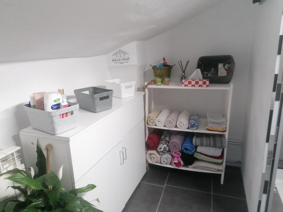 Apartament Chambre 23M2 Avec Jardin Wi-Fi Gratuit Saint-Girons Zewnętrze zdjęcie