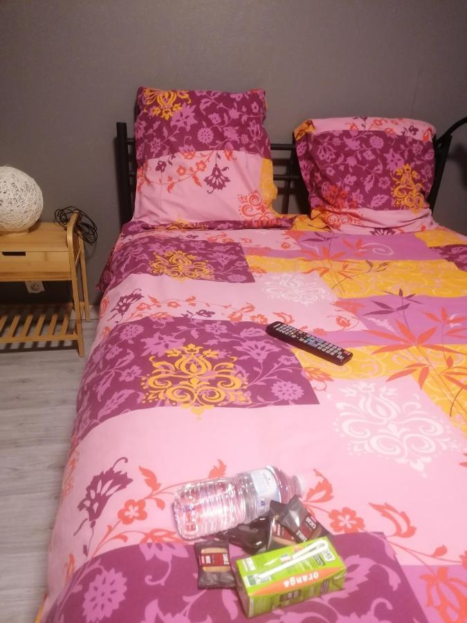 Apartament Chambre 23M2 Avec Jardin Wi-Fi Gratuit Saint-Girons Zewnętrze zdjęcie